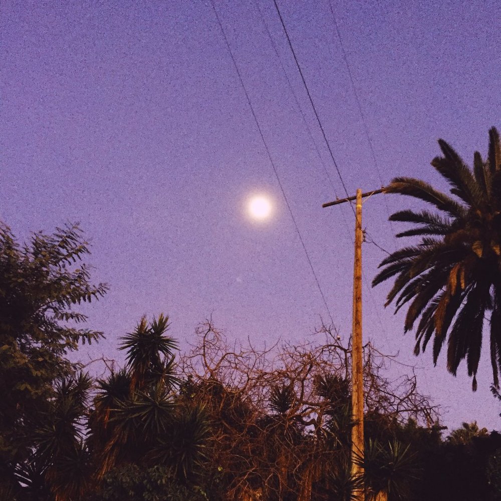 Meet your Posher, Penelope